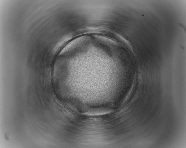 X0000102791411200809021104