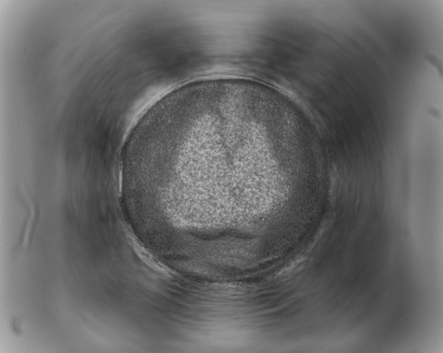 X0000102791413200809021104