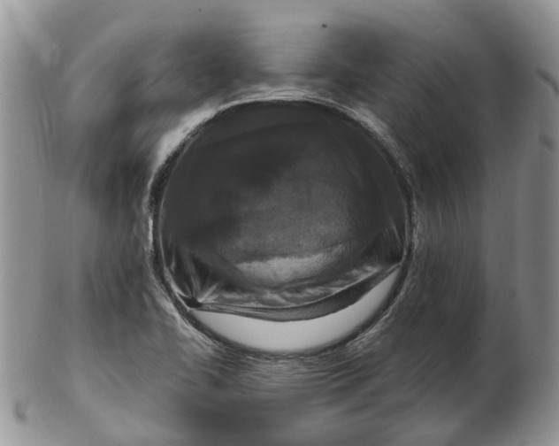 X0000102791414200809021104