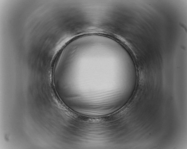 X0000102791415200809021104