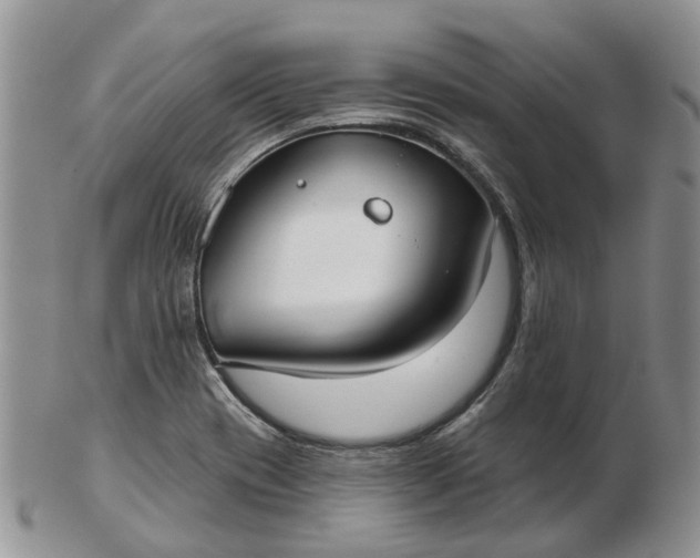 X0000102791417200809021104