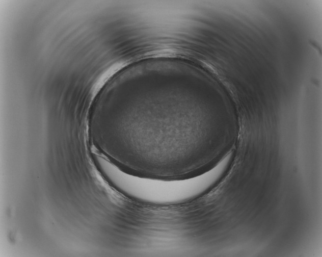 X0000102791418200809021104