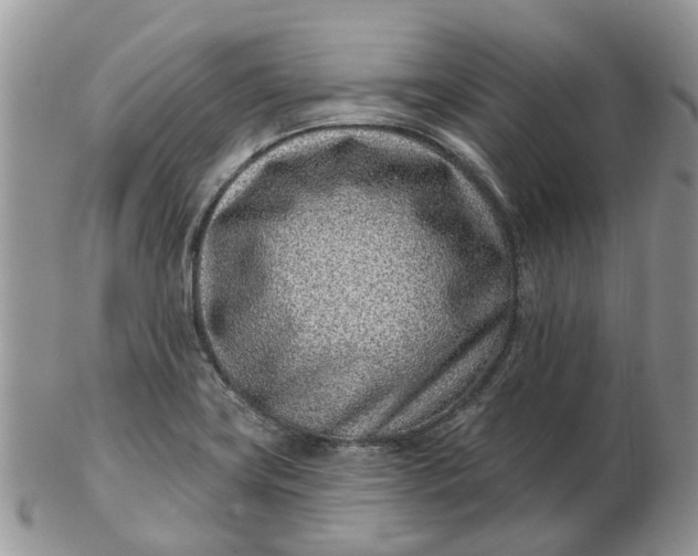 X0000102791419200809021104