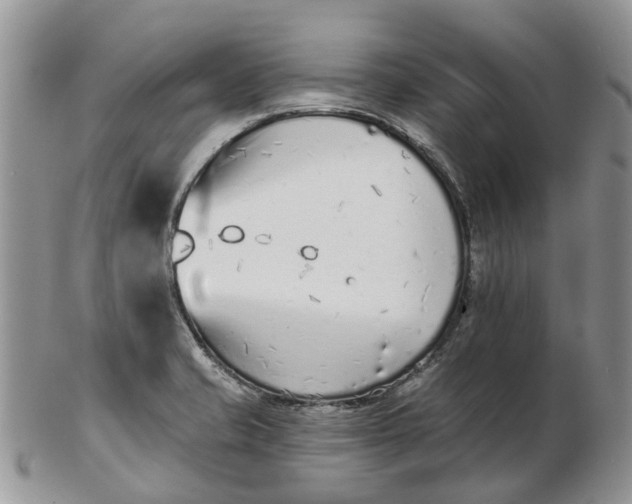 X0000102791421200809021104