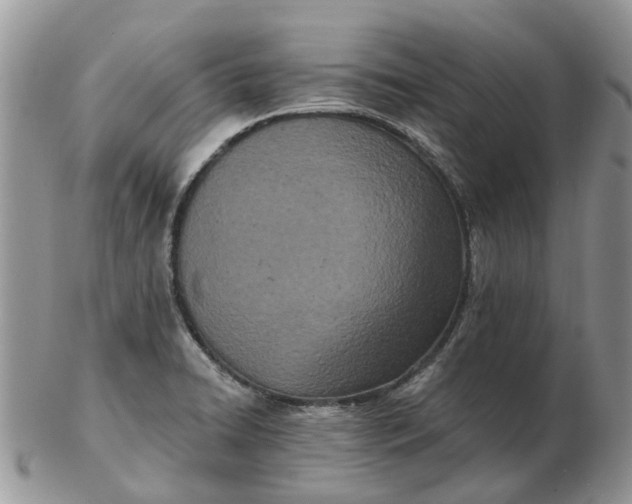 X0000102791422200809021104