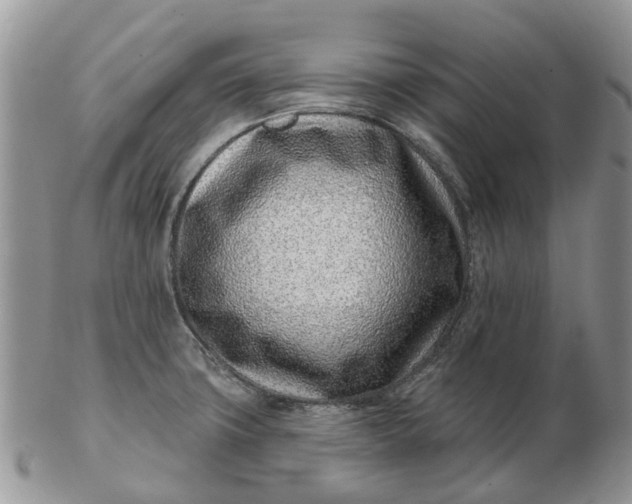 X0000102791427200809021104