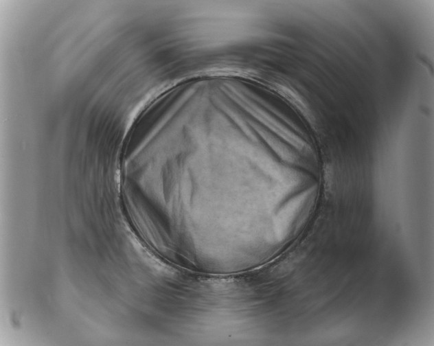 X0000102791428200809021104