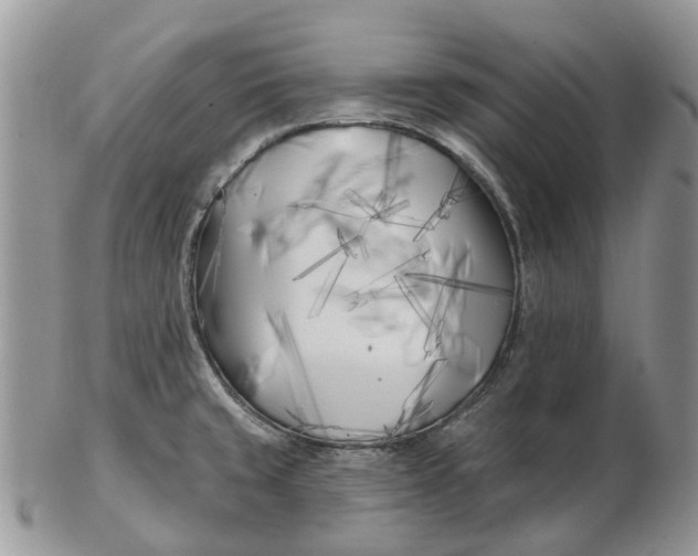 X0000102791429200809021104