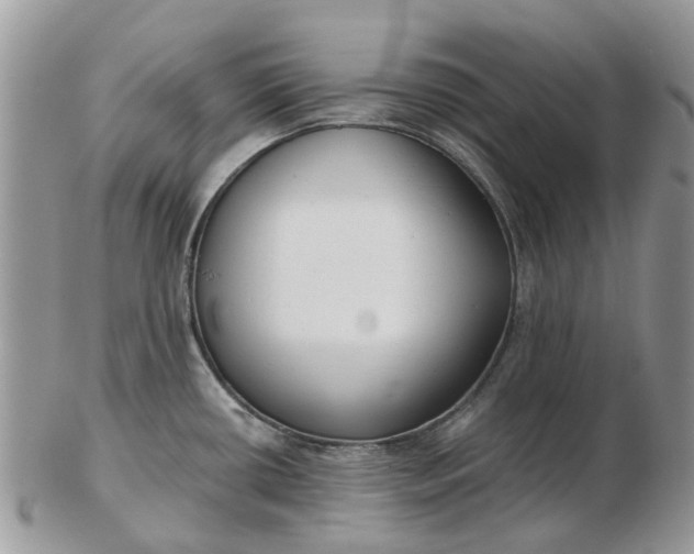 X0000102791434200809021104