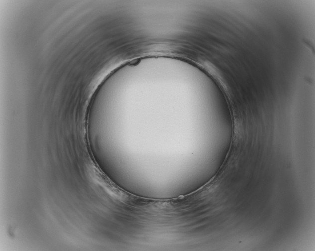 X0000102791435200809021104