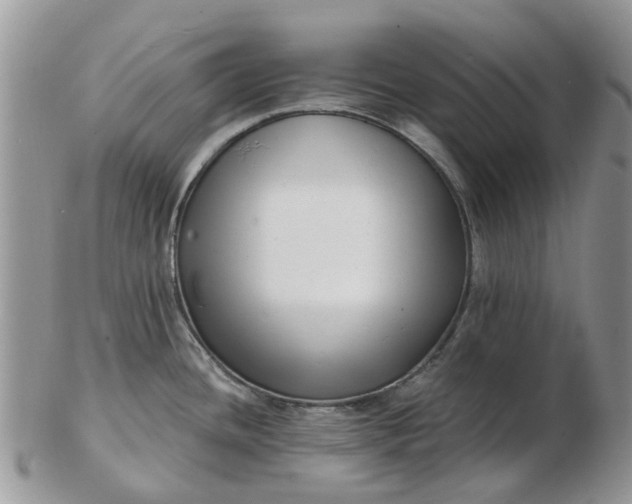 X0000102791436200809021104