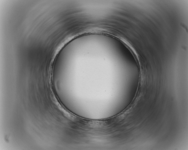 X0000102791437200809021104