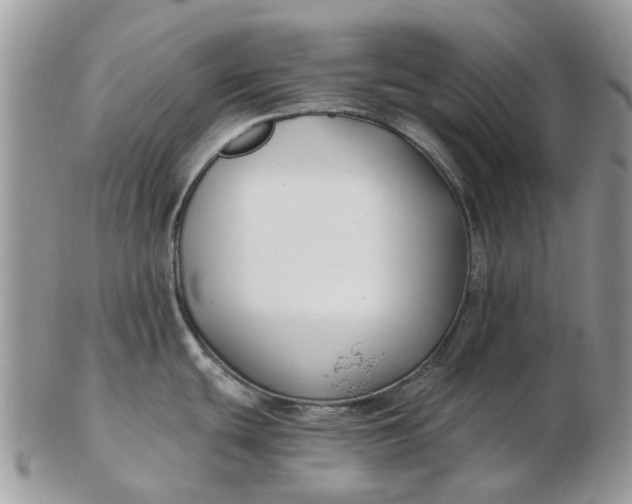 X0000102791439200809021104