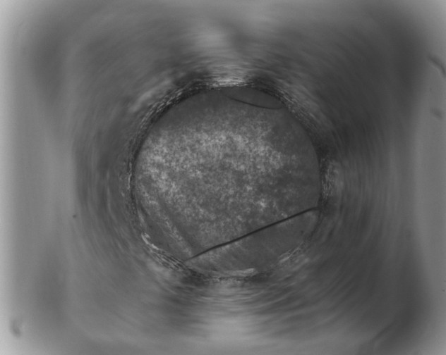 X0000102791441200809021104