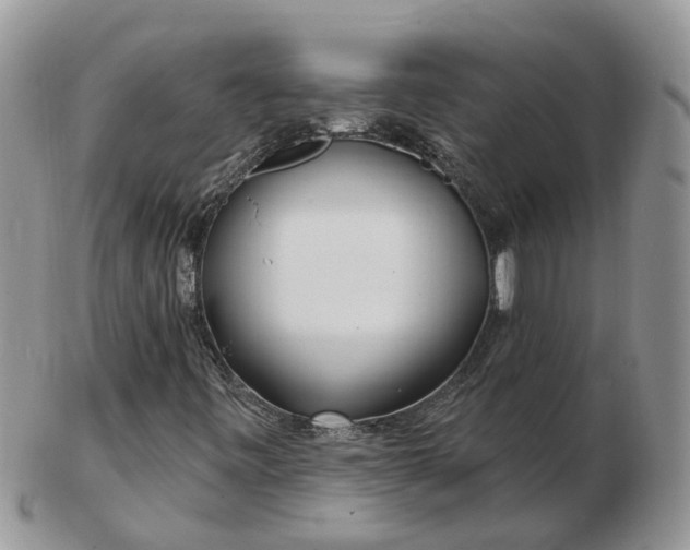 X0000102791443200809021104