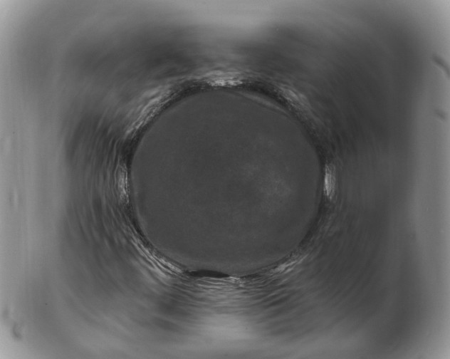 X0000102791444200809021104