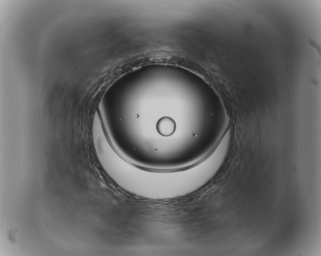 X0000102791445200809021104