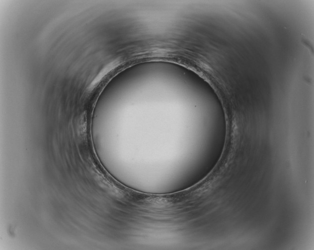 X0000102791450200809021104