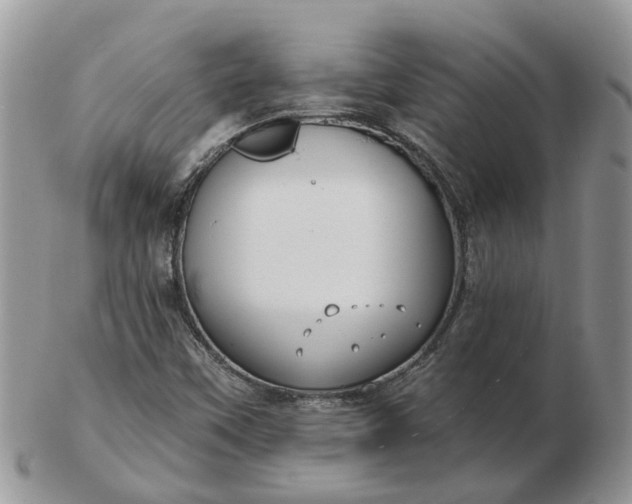 X0000102791451200809021104