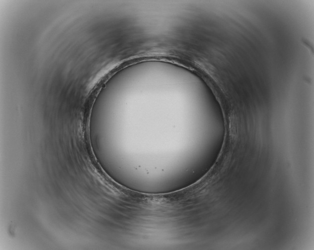 X0000102791452200809021104