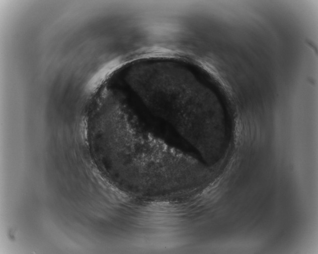 X0000102791455200809021104