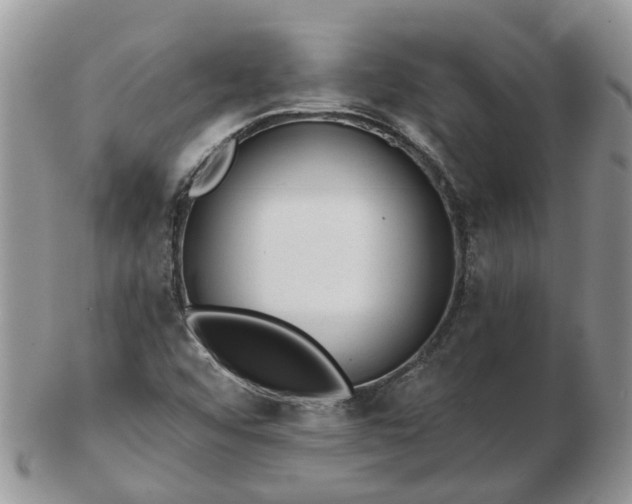 X0000102791456200809021104