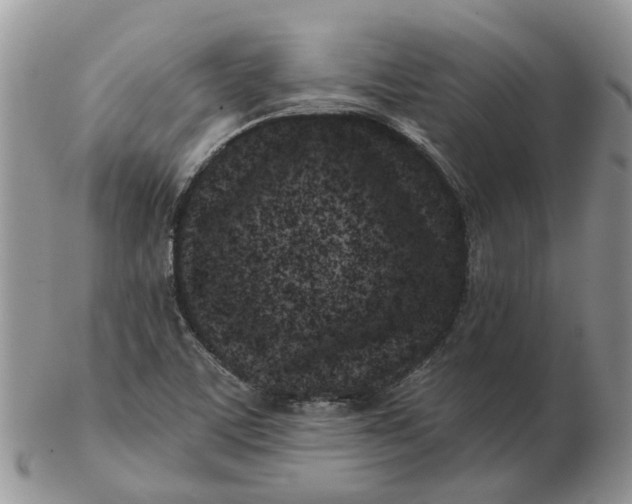 X0000102791459200809021104