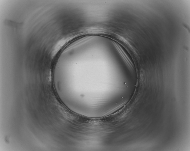 X0000102791461200809021104