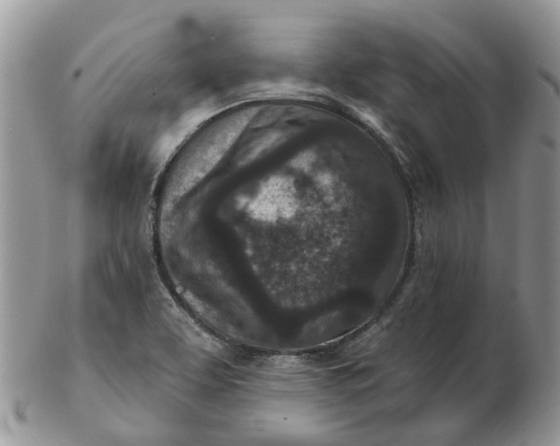 X0000102791463200809021104