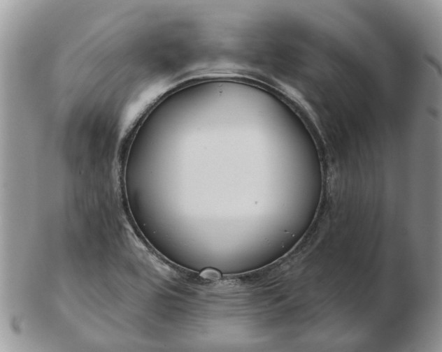 X0000102791464200809021104