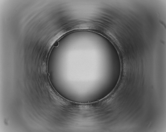 X0000102791465200809021104