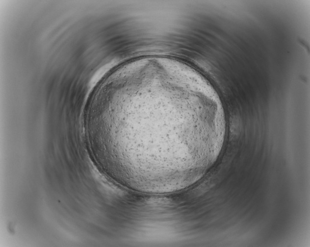 X0000102791466200809021103