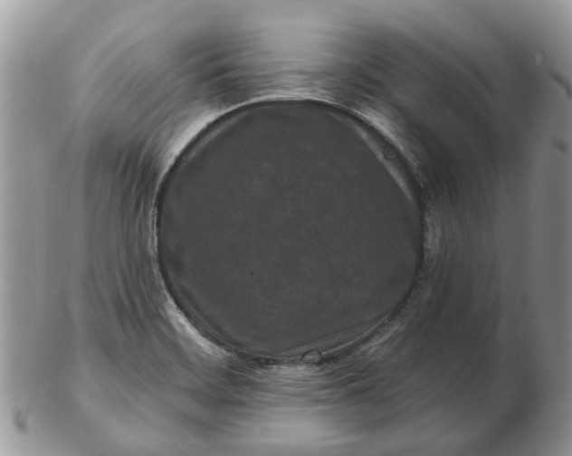 X0000102791468200809021103