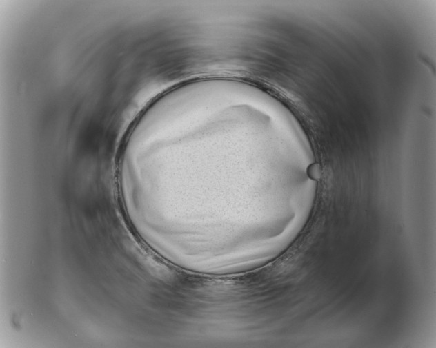 X0000102791470200809021103