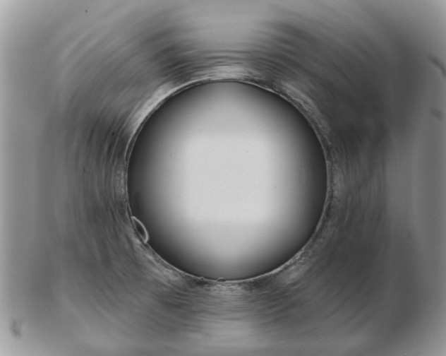 X0000102791473200809021103