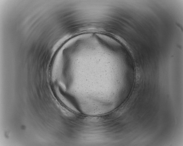 X0000102791474200809021103