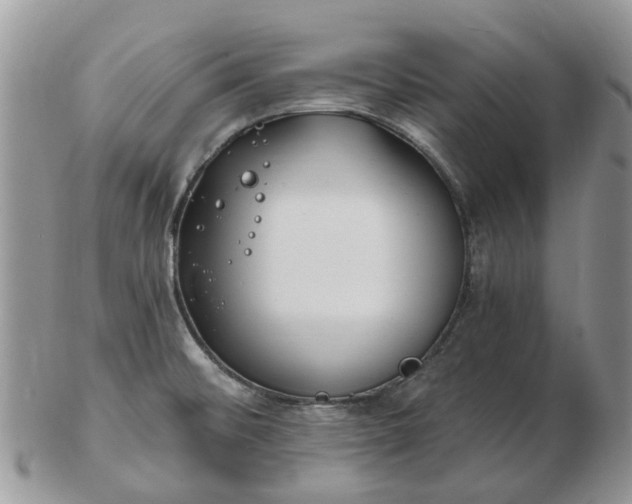 X0000102791476200809021103