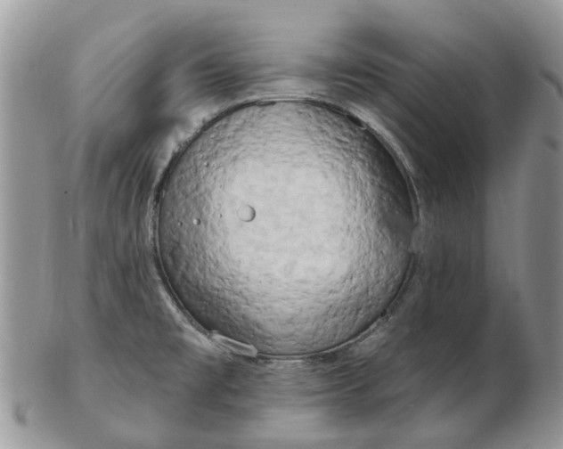 X0000102791477200809021103