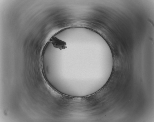 X0000102791478200809021103