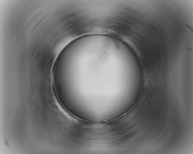 X0000102791479200809021103