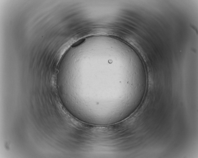 X0000102791481200809021103