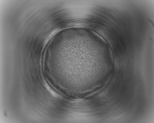 X0000102791482200809021103