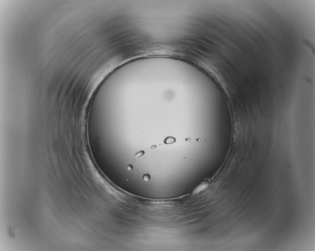 X0000102791483200809021103