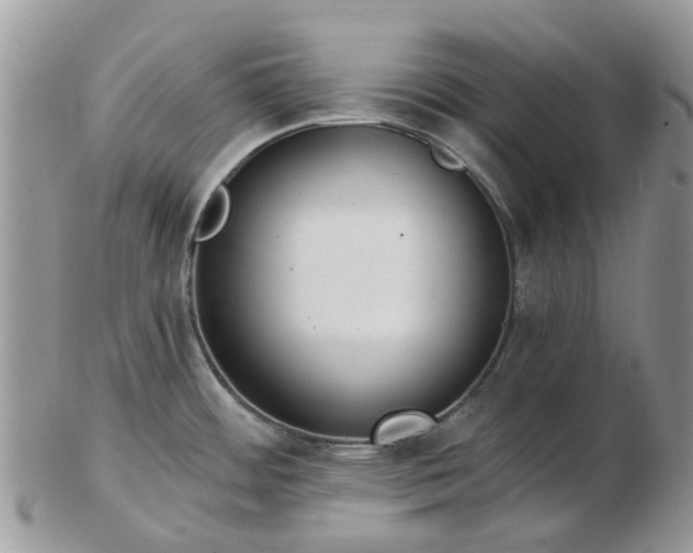 X0000102791484200809021103