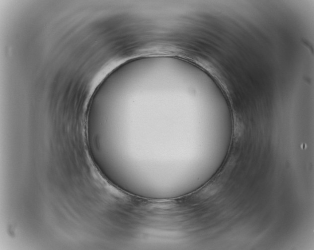 X0000102791486200809021103