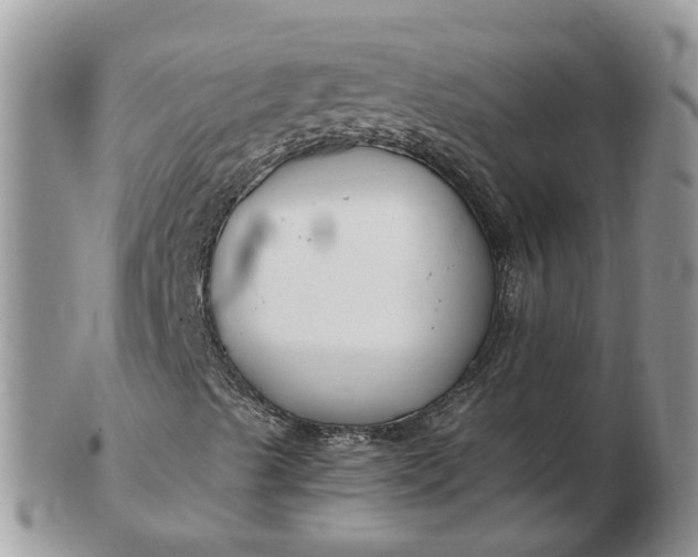 X0000102791489200809021103