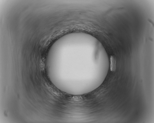 X0000102791491200809021103