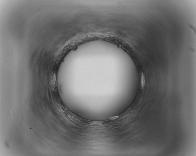 X0000102791492200809021103