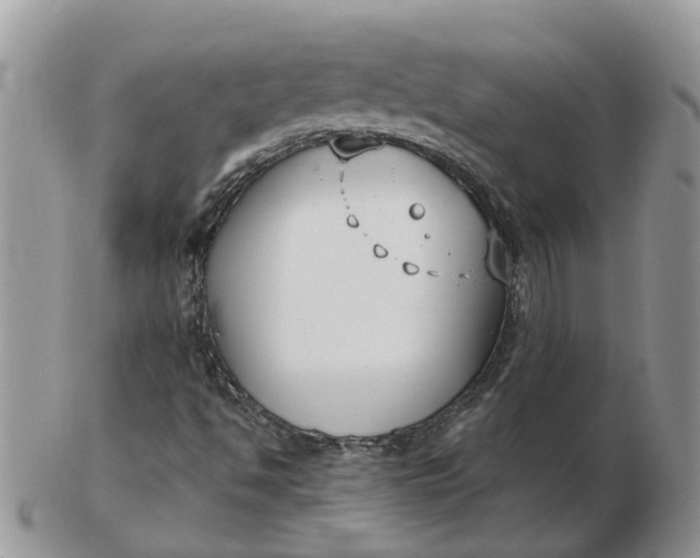 X0000102791494200809021103