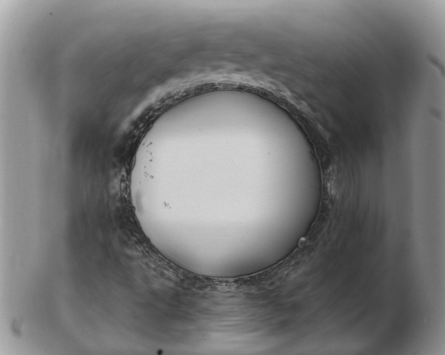 X0000102791495200809021103